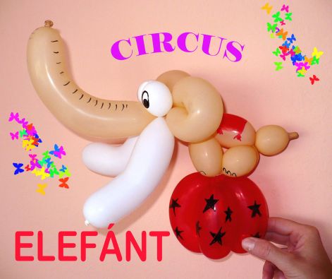 elefant_circus.jpg